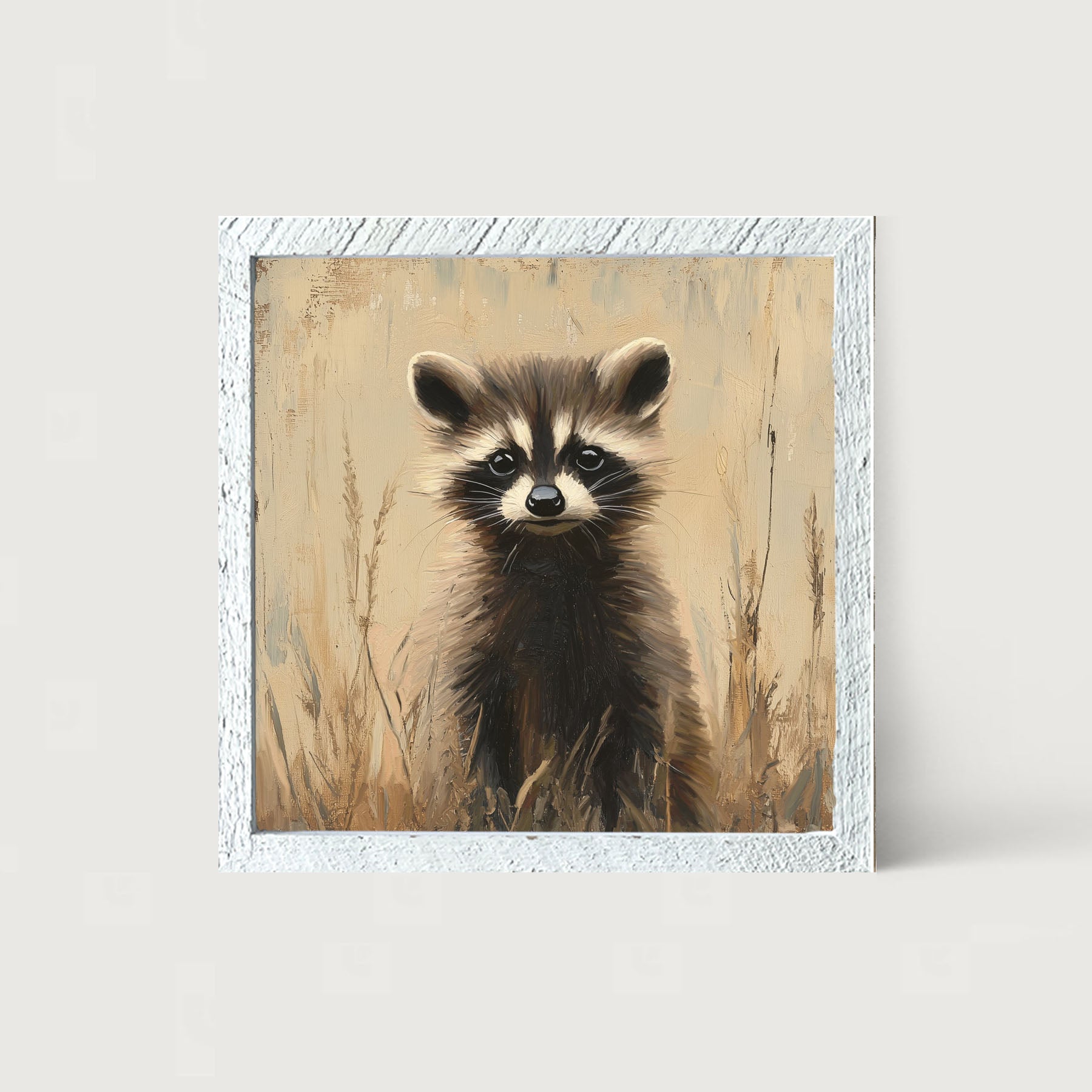 Baby Raccoon