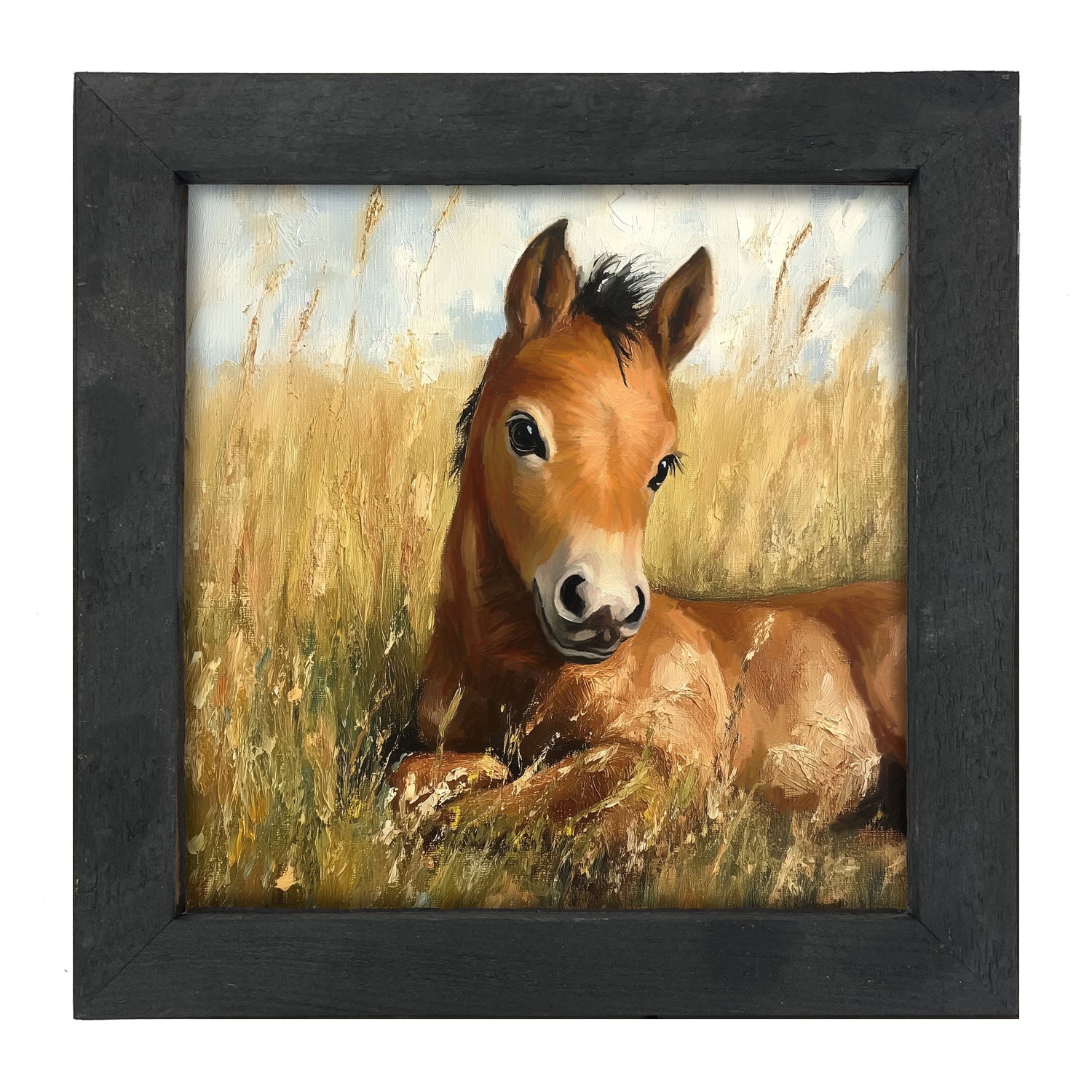 Baby Foal in a Meadow - Framed art