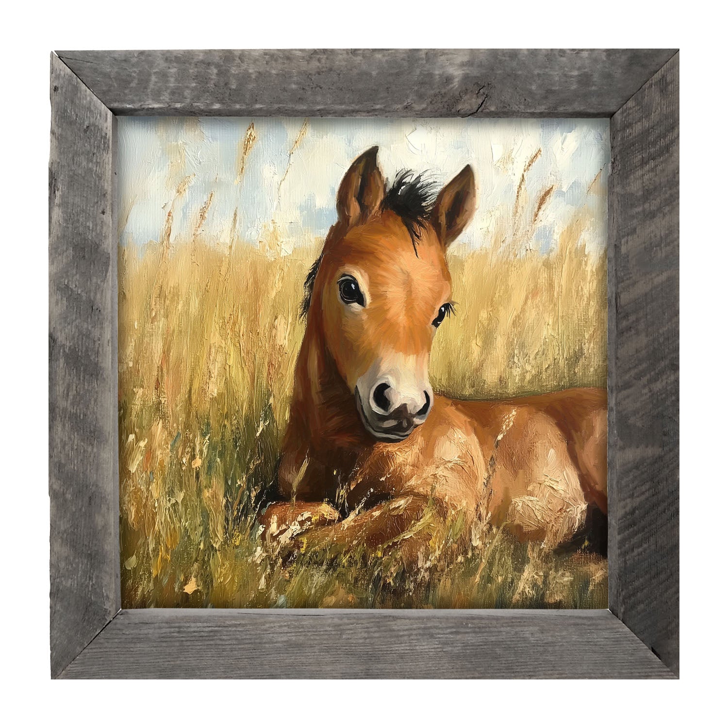 Baby Foal in a Meadow - Framed art