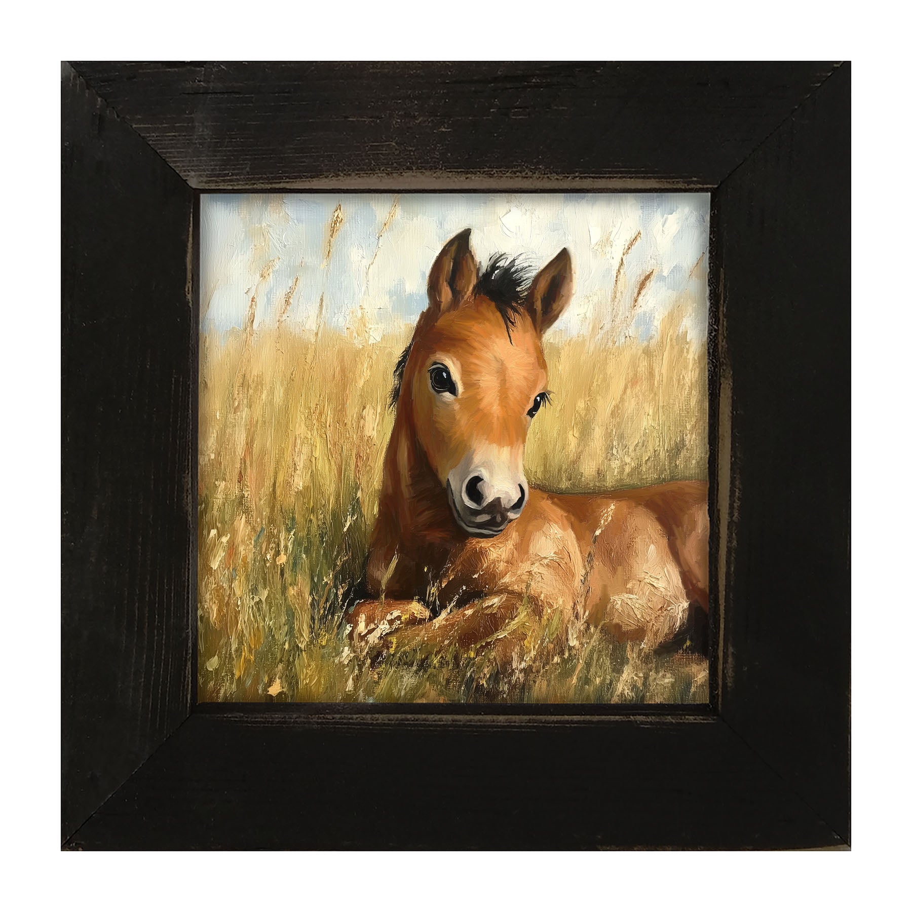 Baby Foal in a Meadow - Framed art