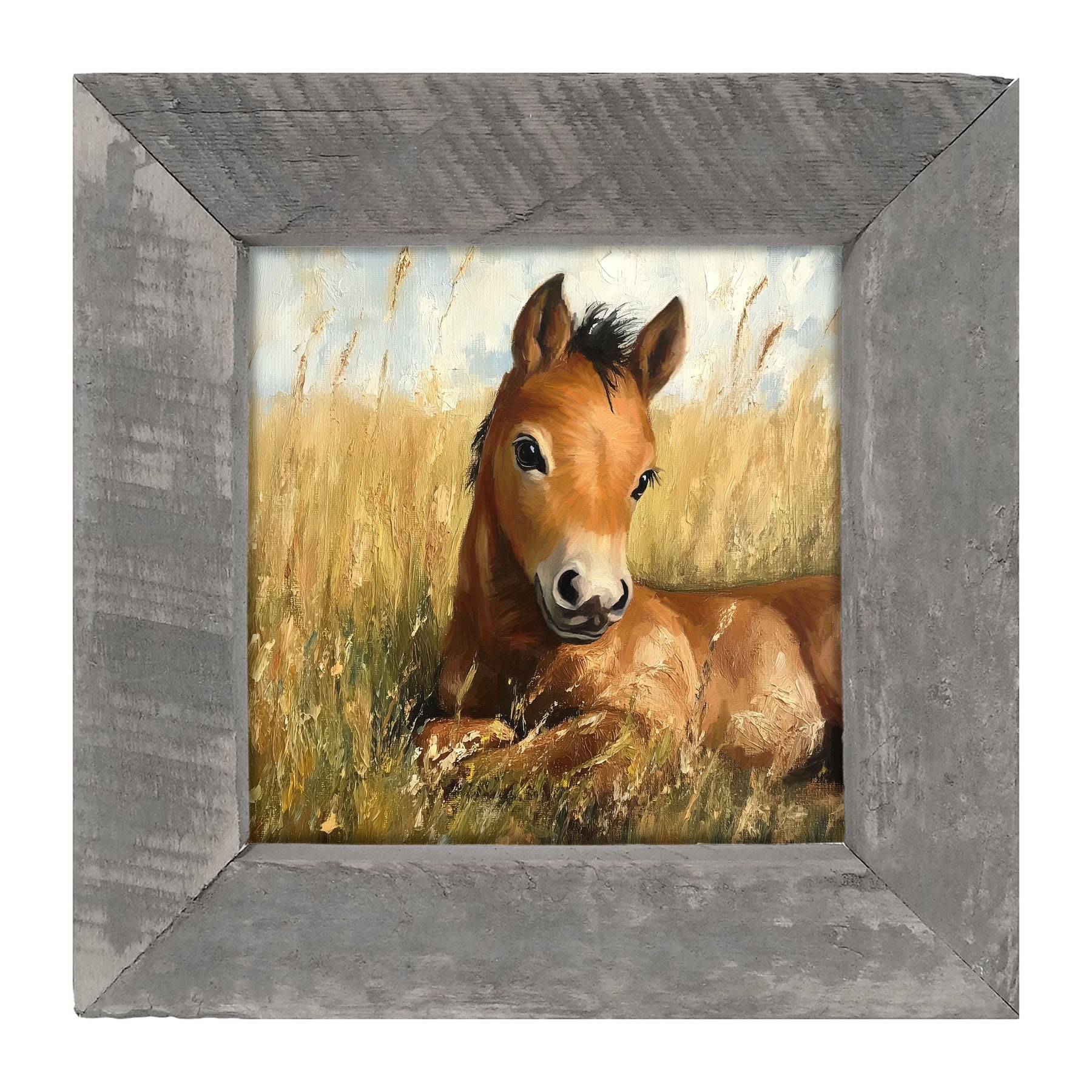 Baby Foal in a Meadow - Framed art