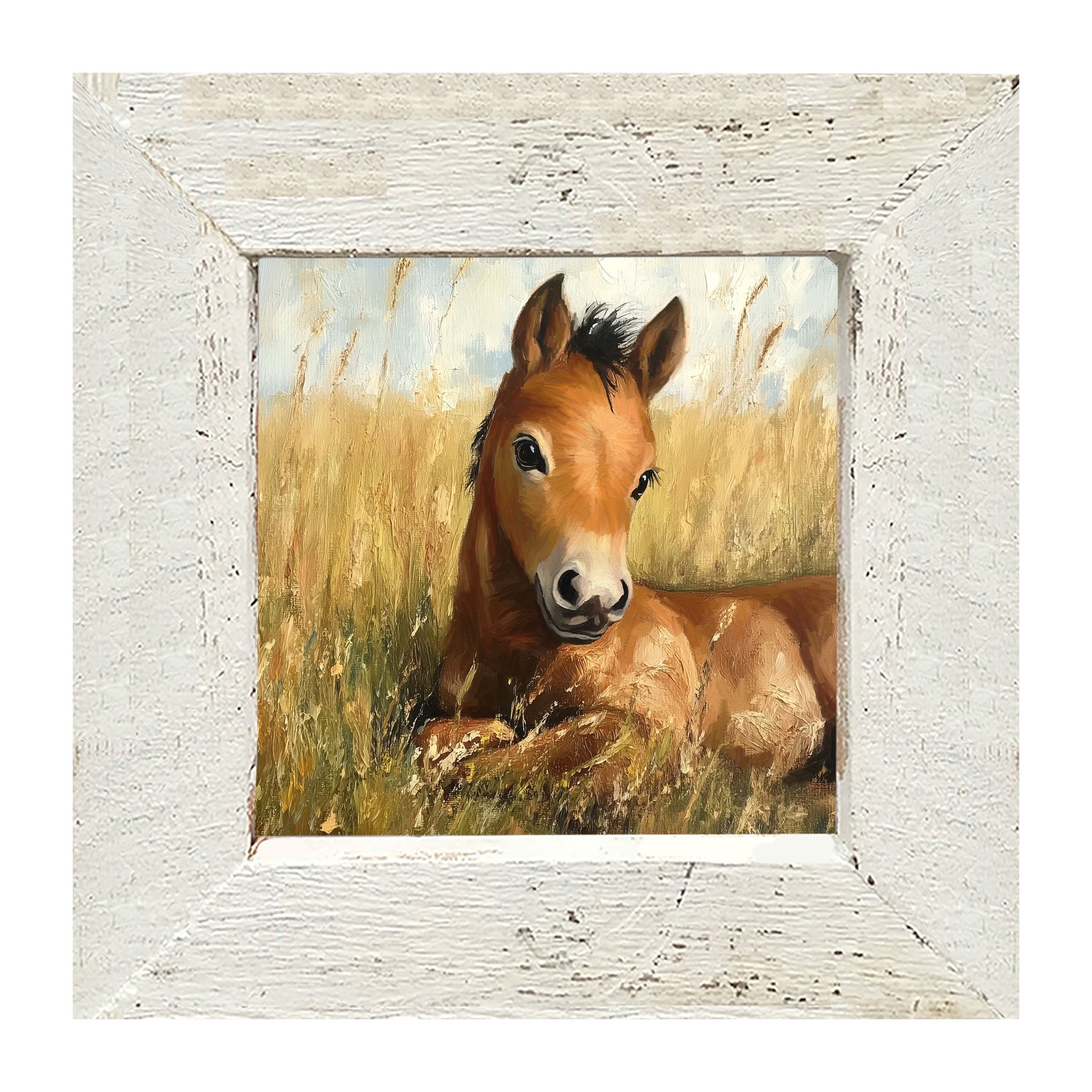 Baby Foal in a Meadow - Framed art