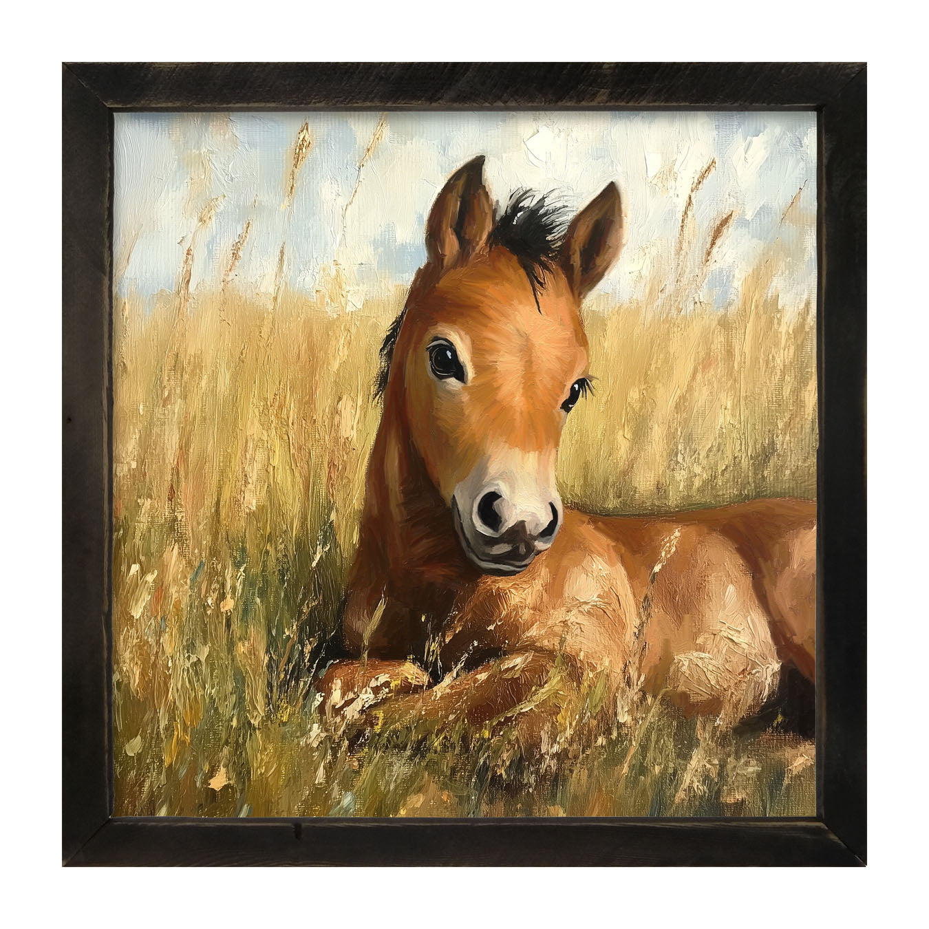Baby Foal in a Meadow - Framed art