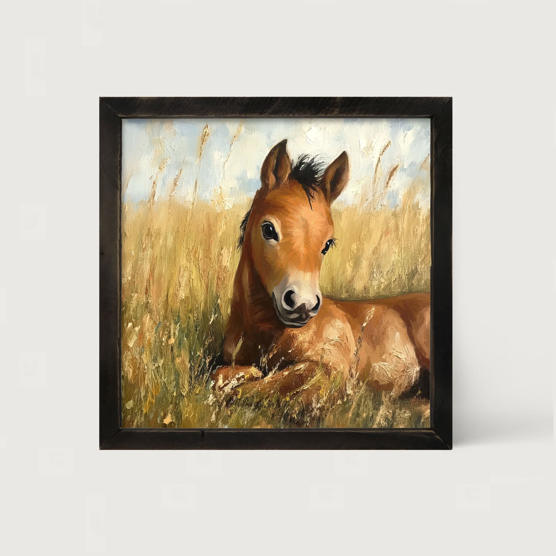 Baby Foal in a Meadow