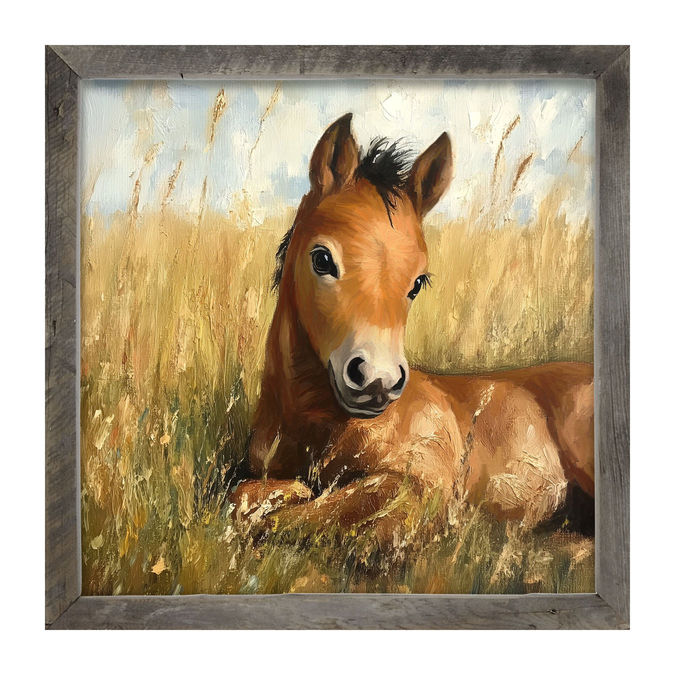 Baby Foal in a Meadow - Framed art