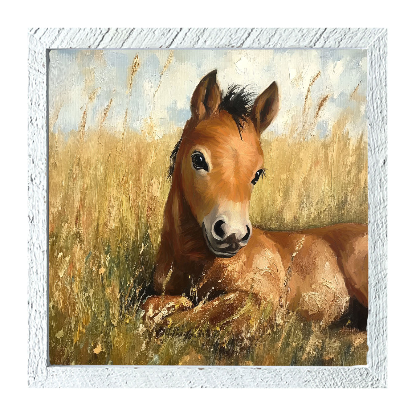 Baby Foal in a Meadow - Framed art