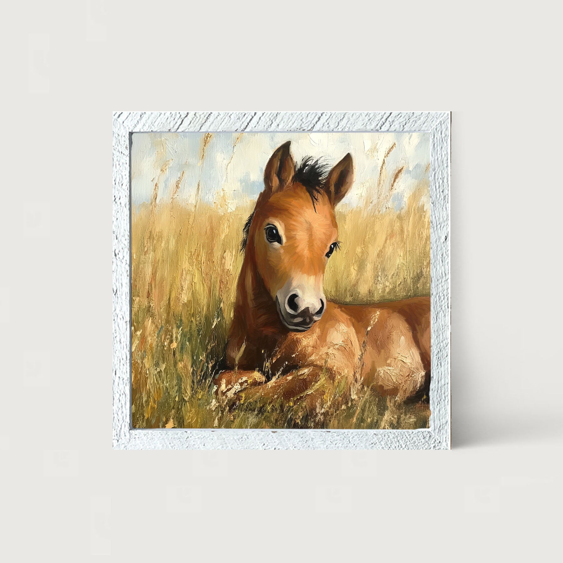 Baby Foal in a Meadow