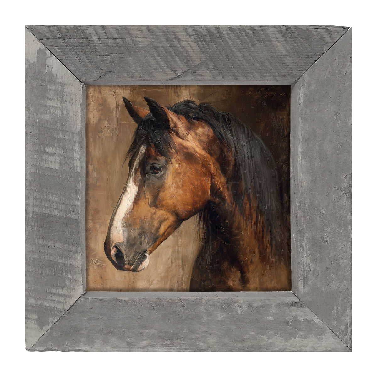 Horse Portrait - Framed Art