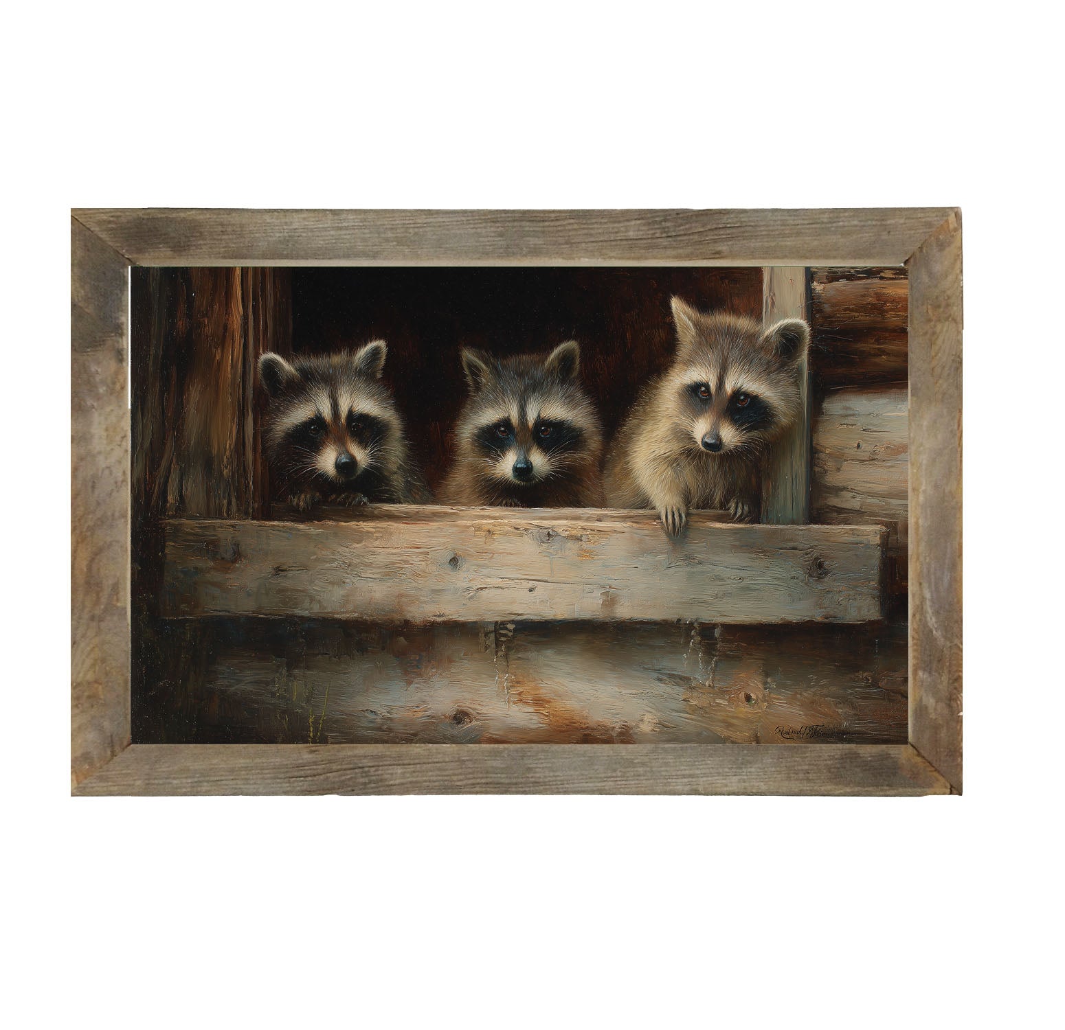 Raccoons in Barn Window - Framed Art