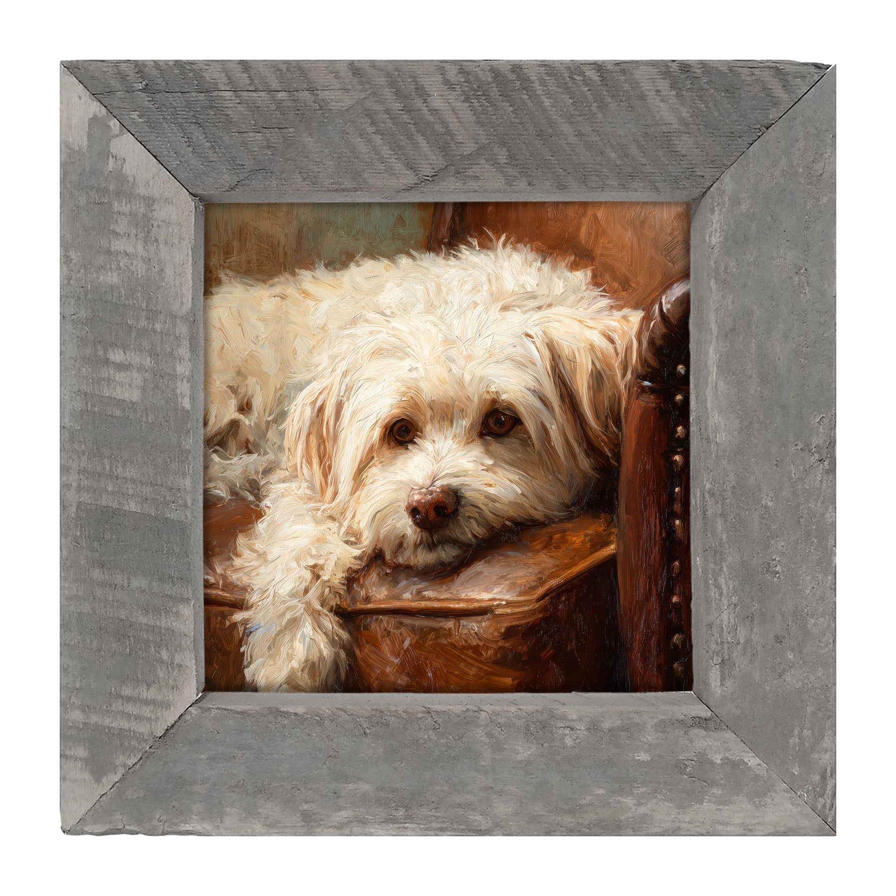 Armchair with Havanese Dog - Framed Art