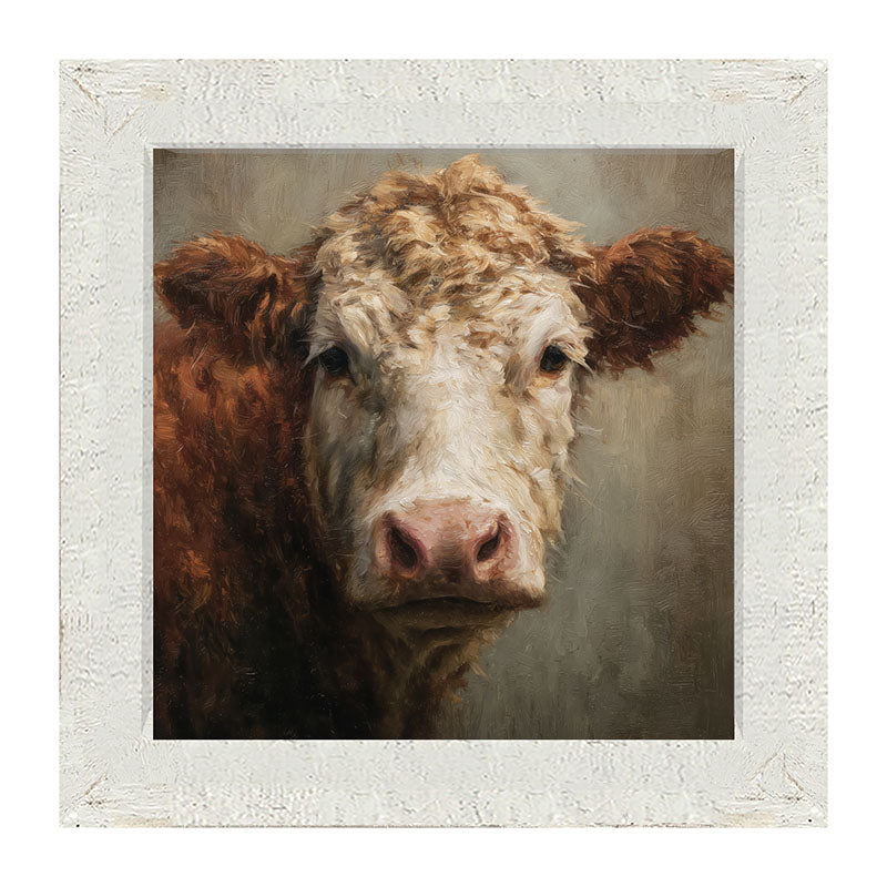 Farm Life Portrait - Brown and White Cow Close-up - Framed Art