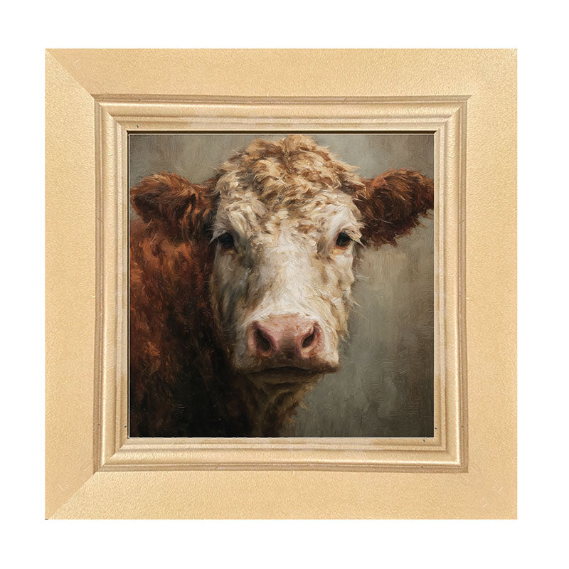Farm Life Portrait - Brown and White Cow Close-up - Framed Art