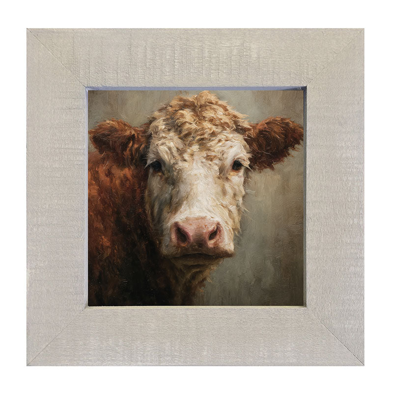 Farm Life Portrait - Brown and White Cow Close-up - Framed Art