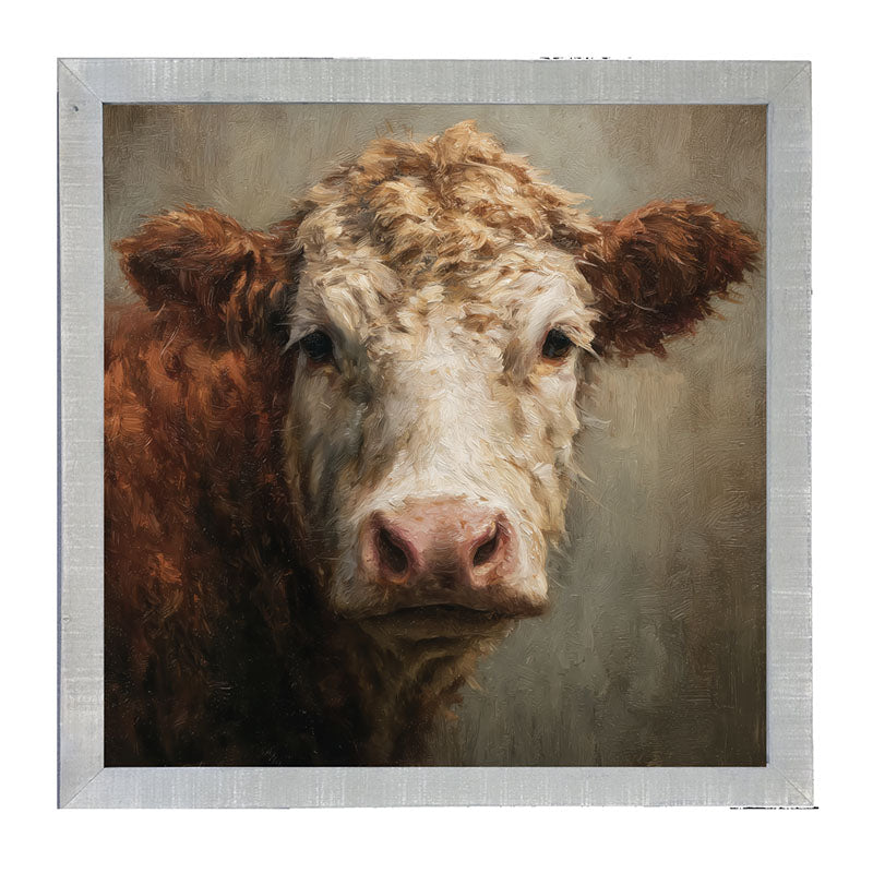 Farm Life Portrait - Brown and White Cow Close-up - Framed Art