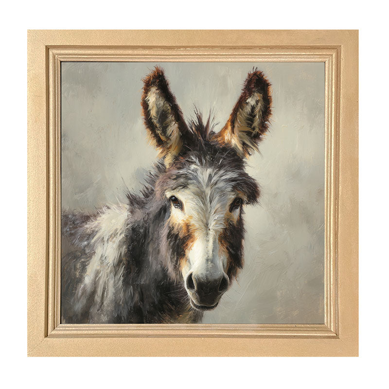 Farm Life Portrait - Donkey Close-up - Framed Art