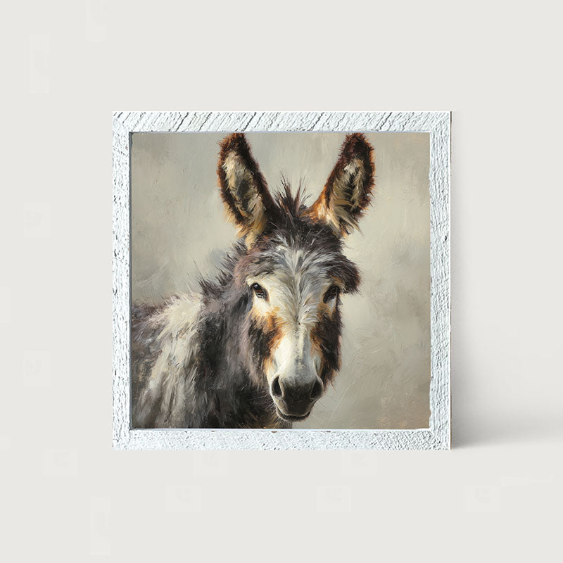 Farm Life Portrait - Donkey Close-up