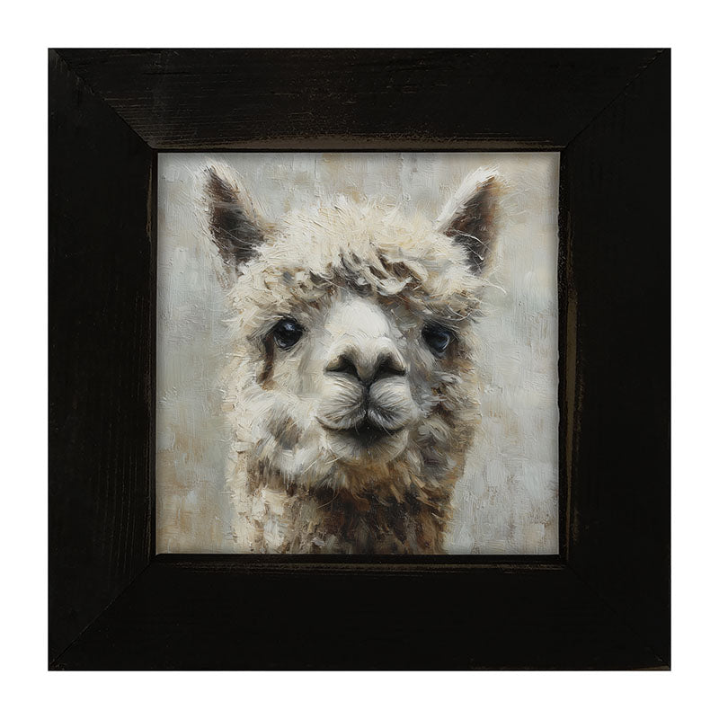 Farm Life Portrait - Alpaca Close-up - Framed Art