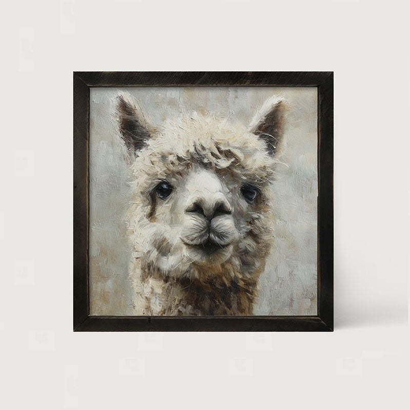 Farm Life Portrait - Alpaca Close-up - Framed Art