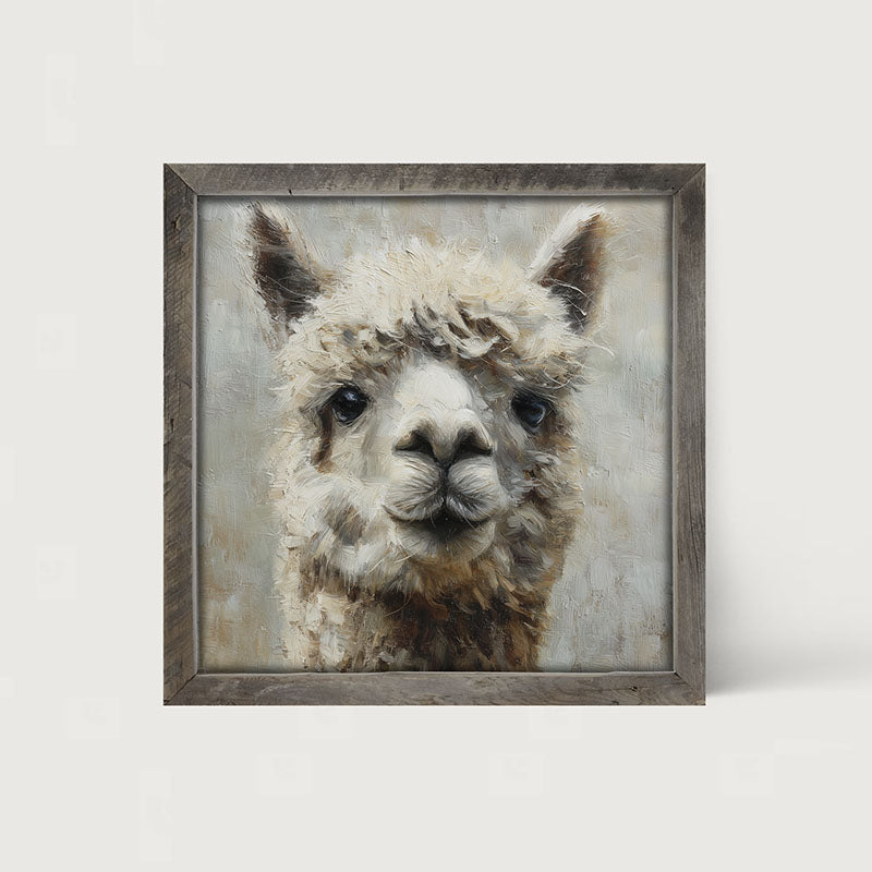 Farm Life Portrait - Alpaca Close-up - Framed Art
