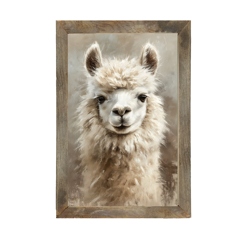Farm Life Portrait - Alpaca