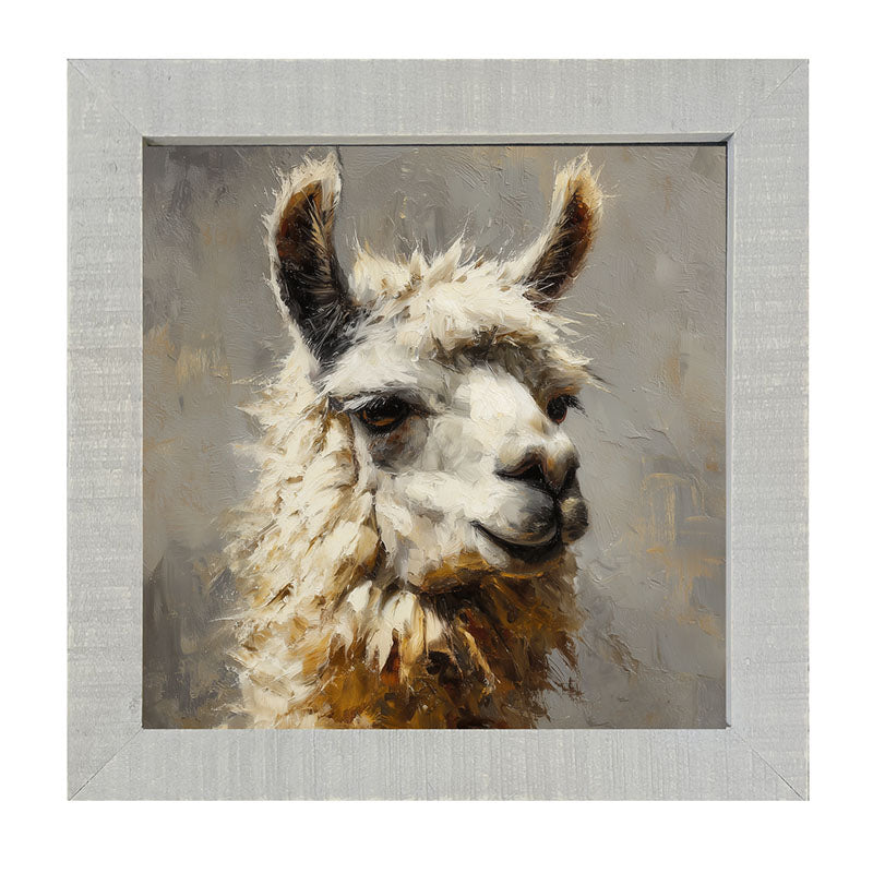 Farm Life Portrait - Llama Close-up - Framed Art