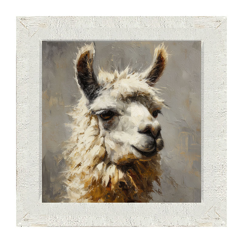 Farm Life Portrait - Llama Close-up - Framed Art