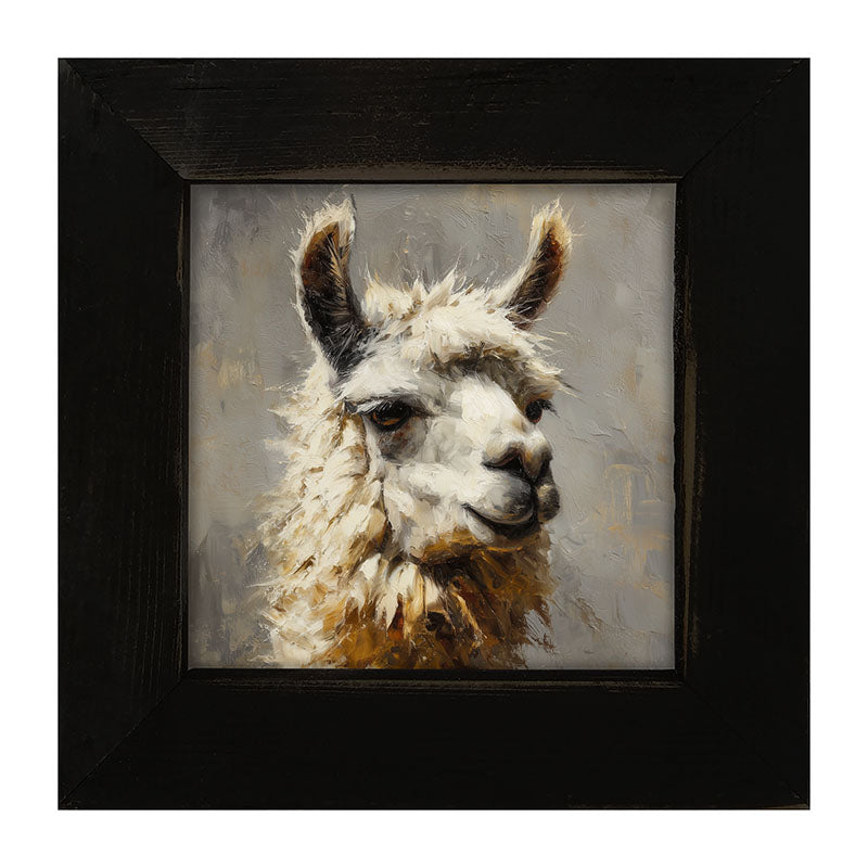 Farm Life Portrait - Llama Close-up - Framed Art
