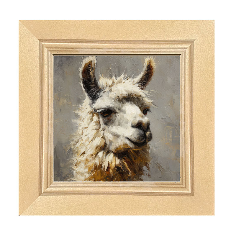 Farm Life Portrait - Llama Close-up - Framed Art
