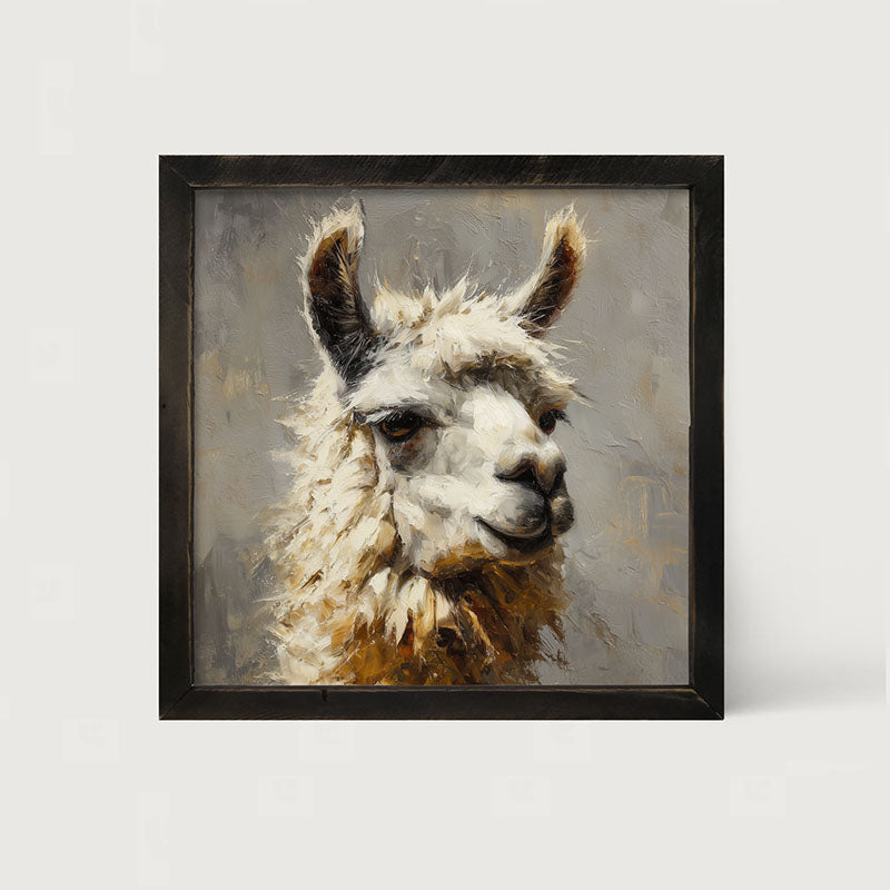 Farm Life Portrait - Llama Close-up