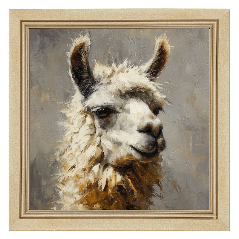 Farm Life Portrait - Llama Close-up
