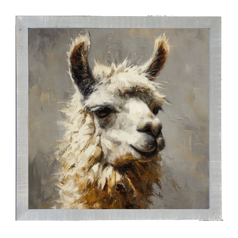 Farm Life Portrait - Llama Close-up - Framed Art