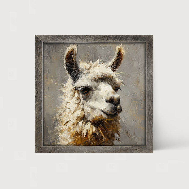 Farm Life Portrait - Llama Close-up