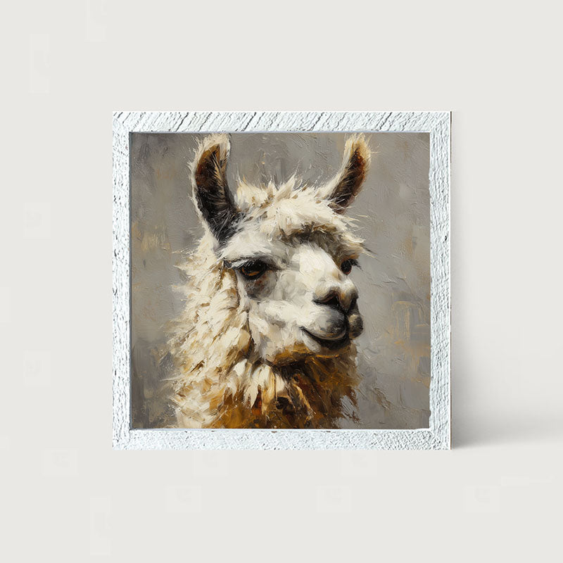 Farm Life Portrait - Llama Close-up - Framed Art