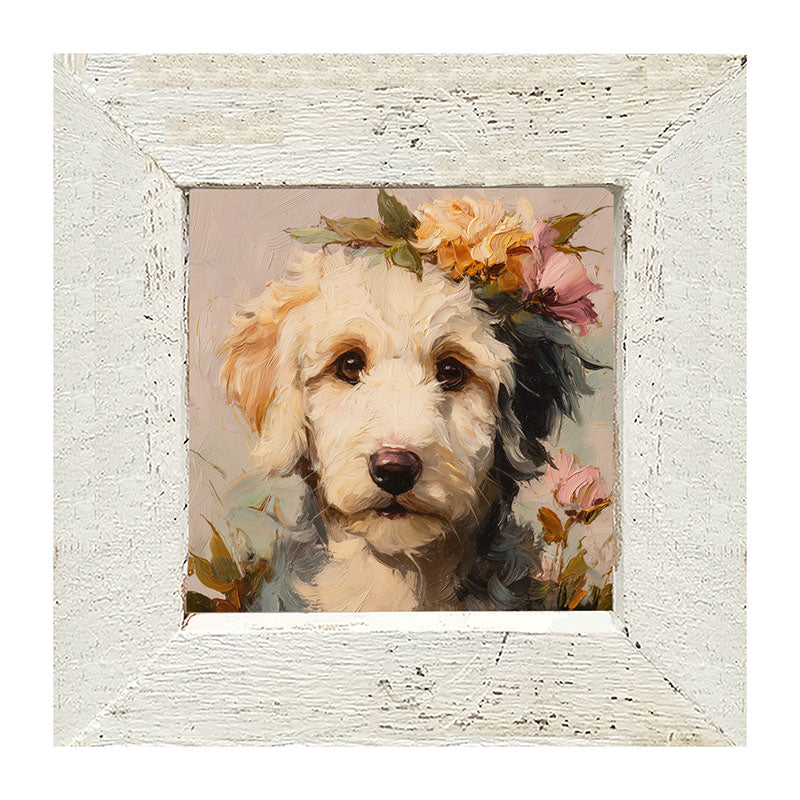 Spring Season White Labradoodle - Framed Art