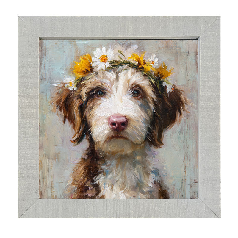 Spring Season Brown and White Labradoodle - Framed Art