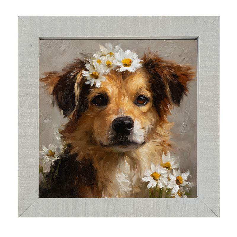 Spring Season Tan Dog - Framed Art