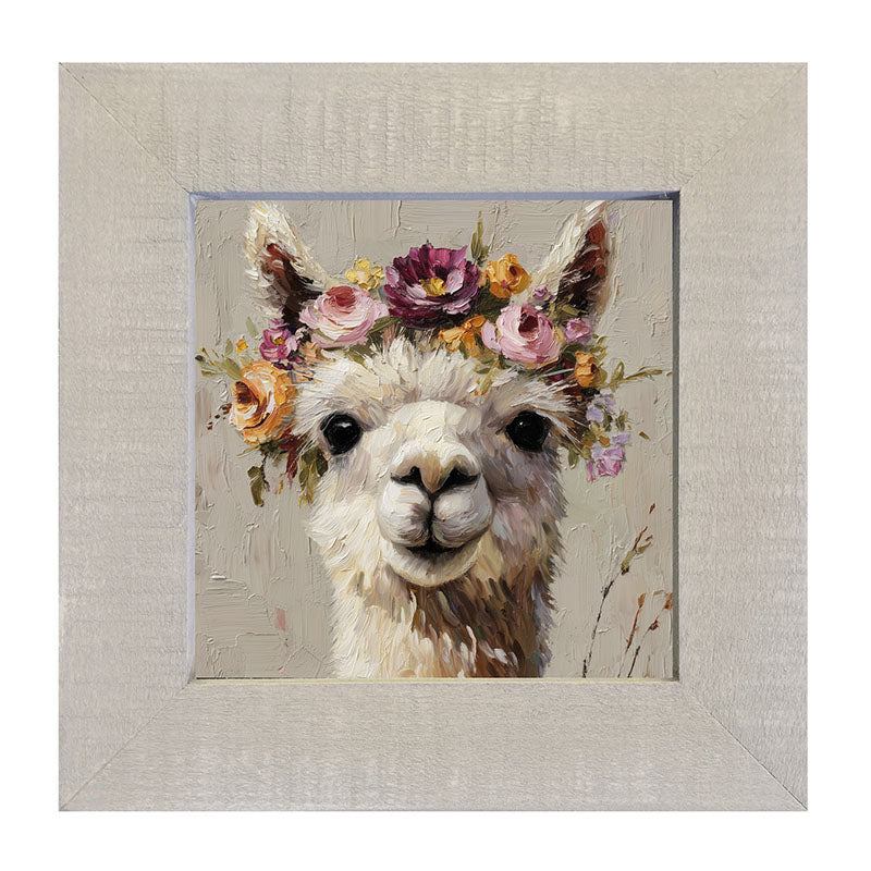Spring Season Alpaca - Framed Art