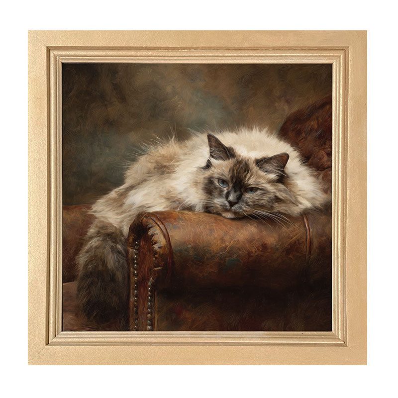 Armchair with Ragdoll Cat - Framed Art