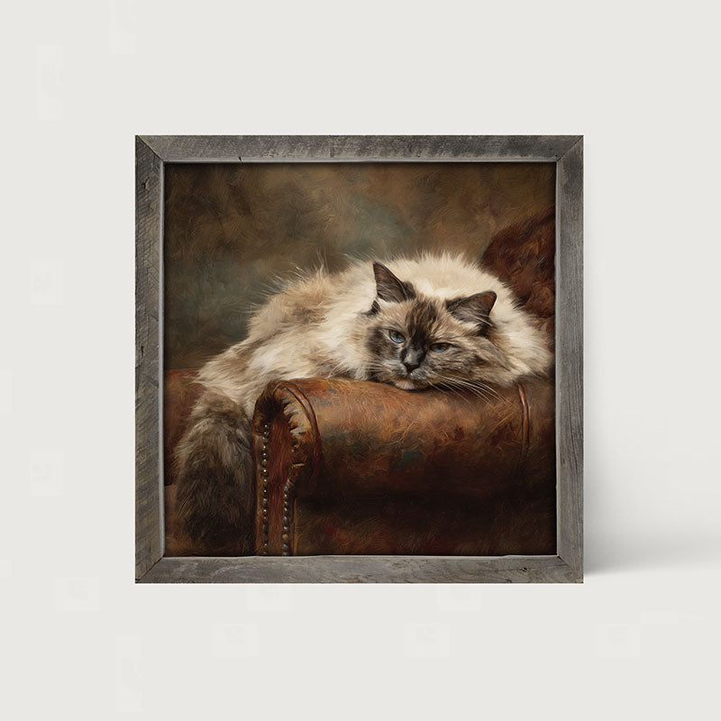 Armchair with Ragdoll Cat