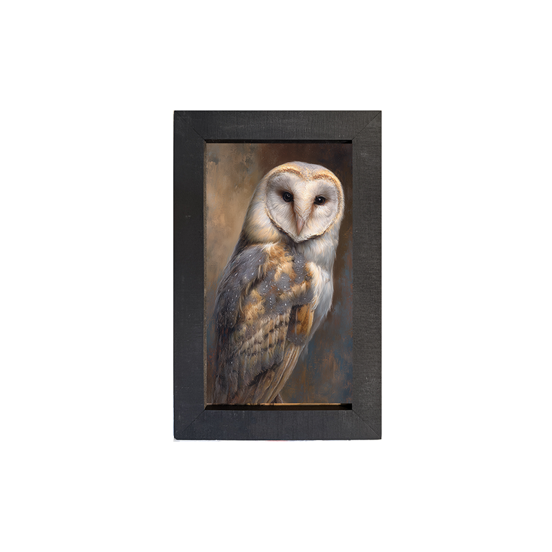 Barn Owl Portrait - Framed Art