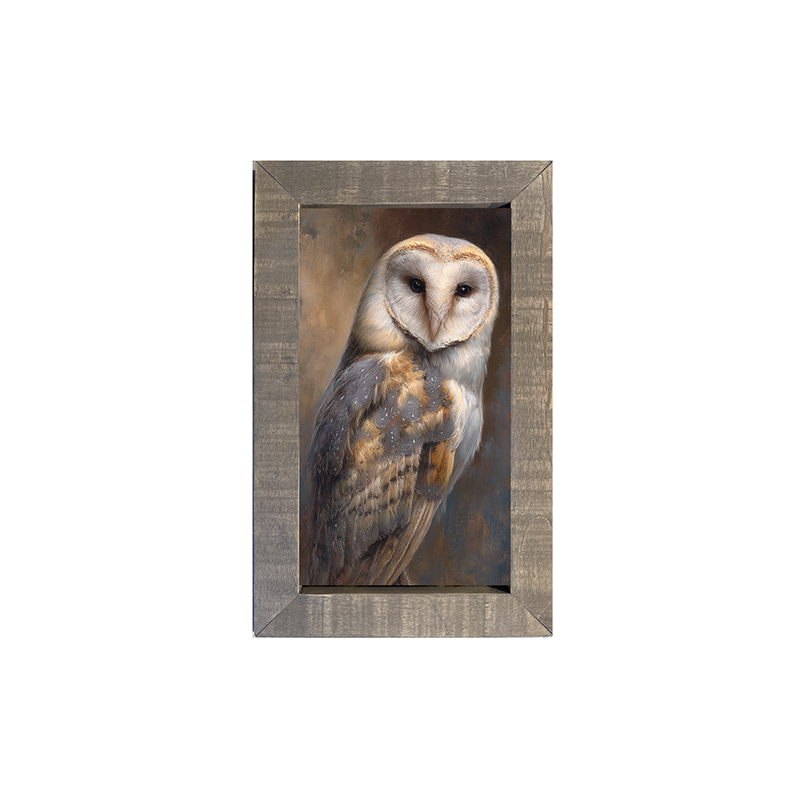 Barn Owl Portrait - Framed Art