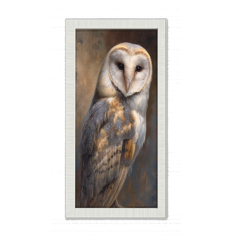Barn Owl Portrait - Framed Art