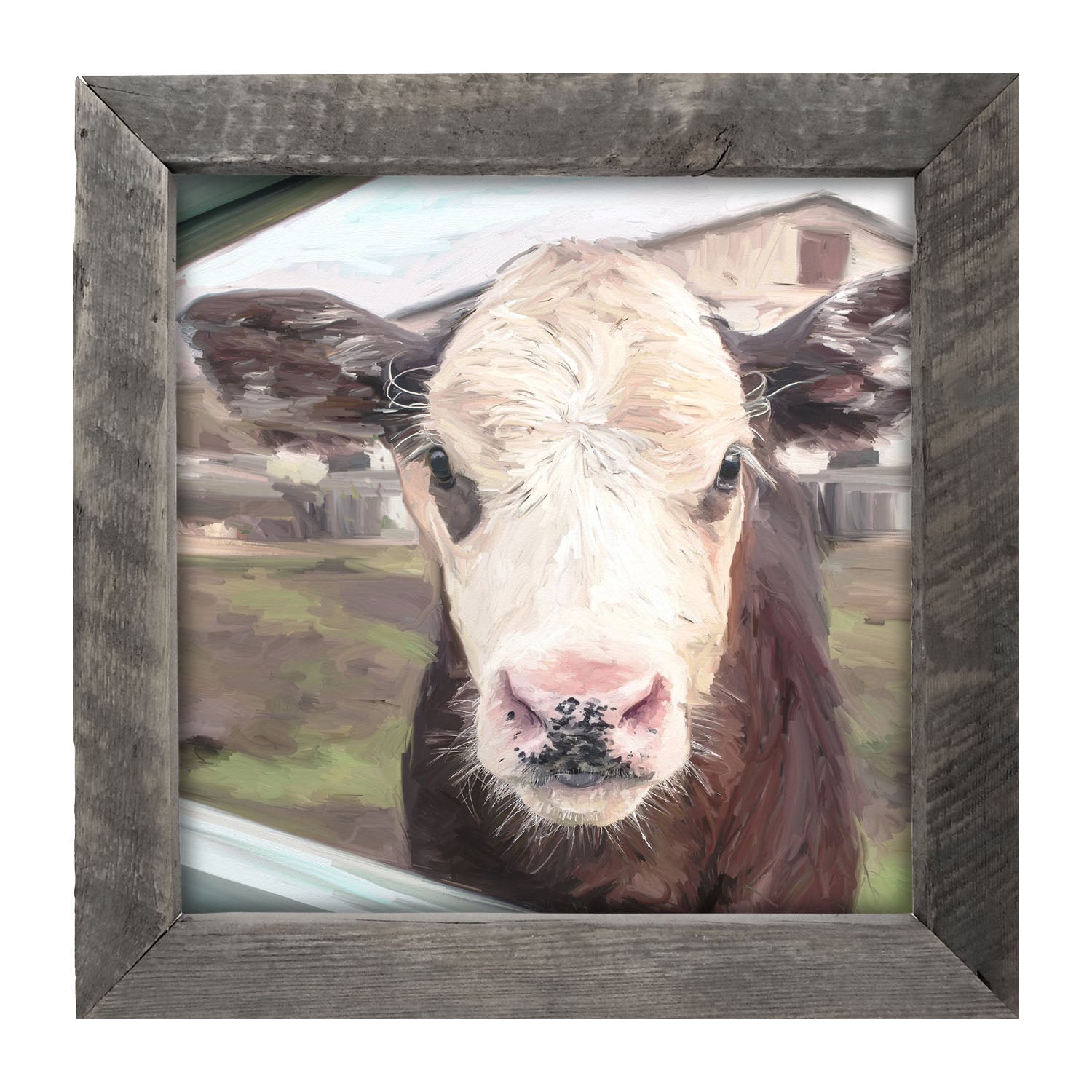 Calf - Framed art