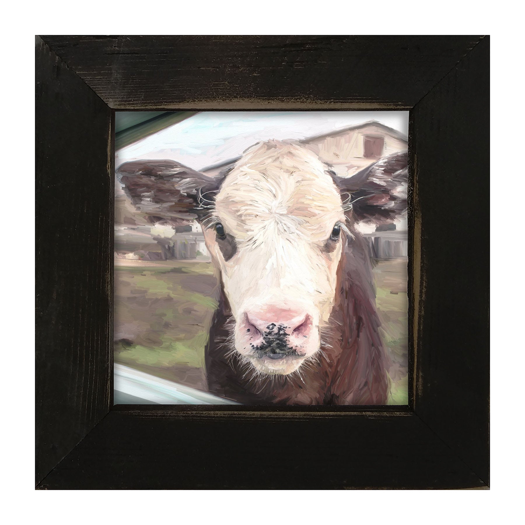 Calf - Framed art