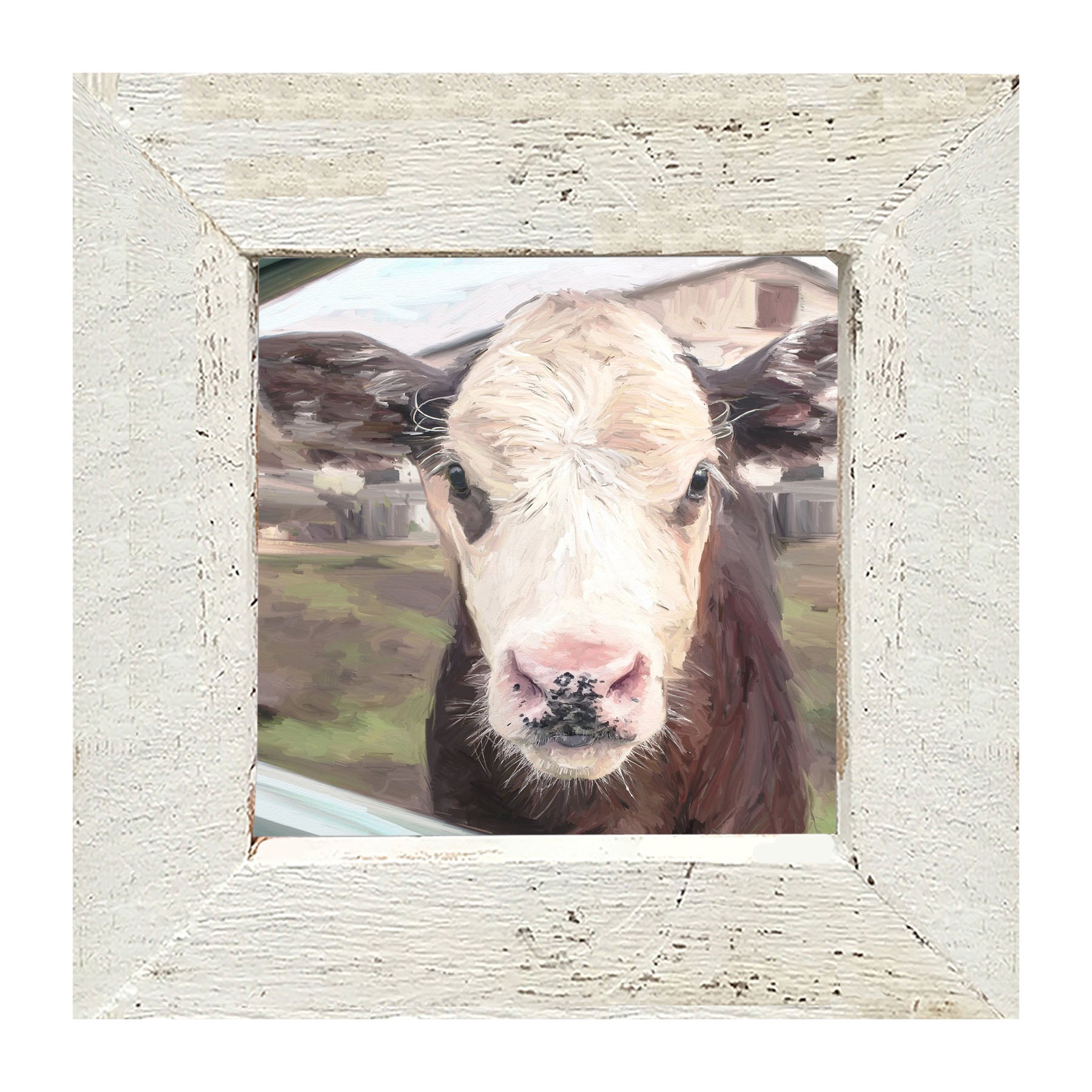 Calf - Framed art