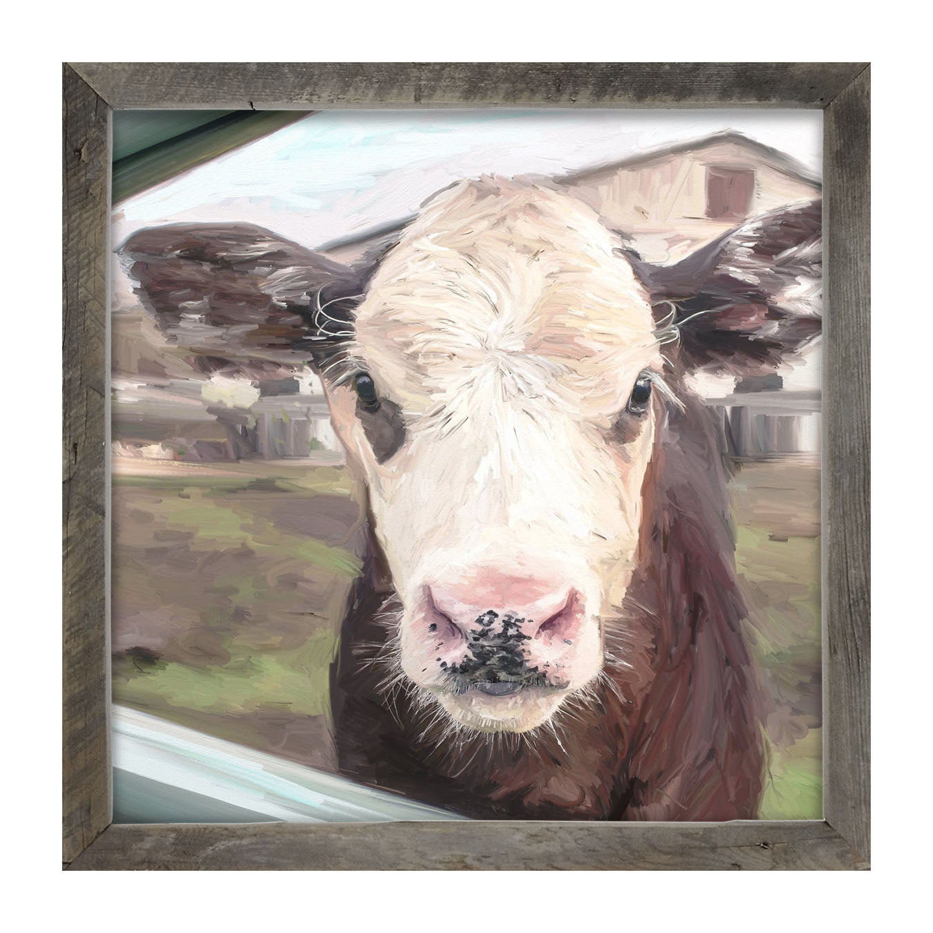 Calf - Framed art