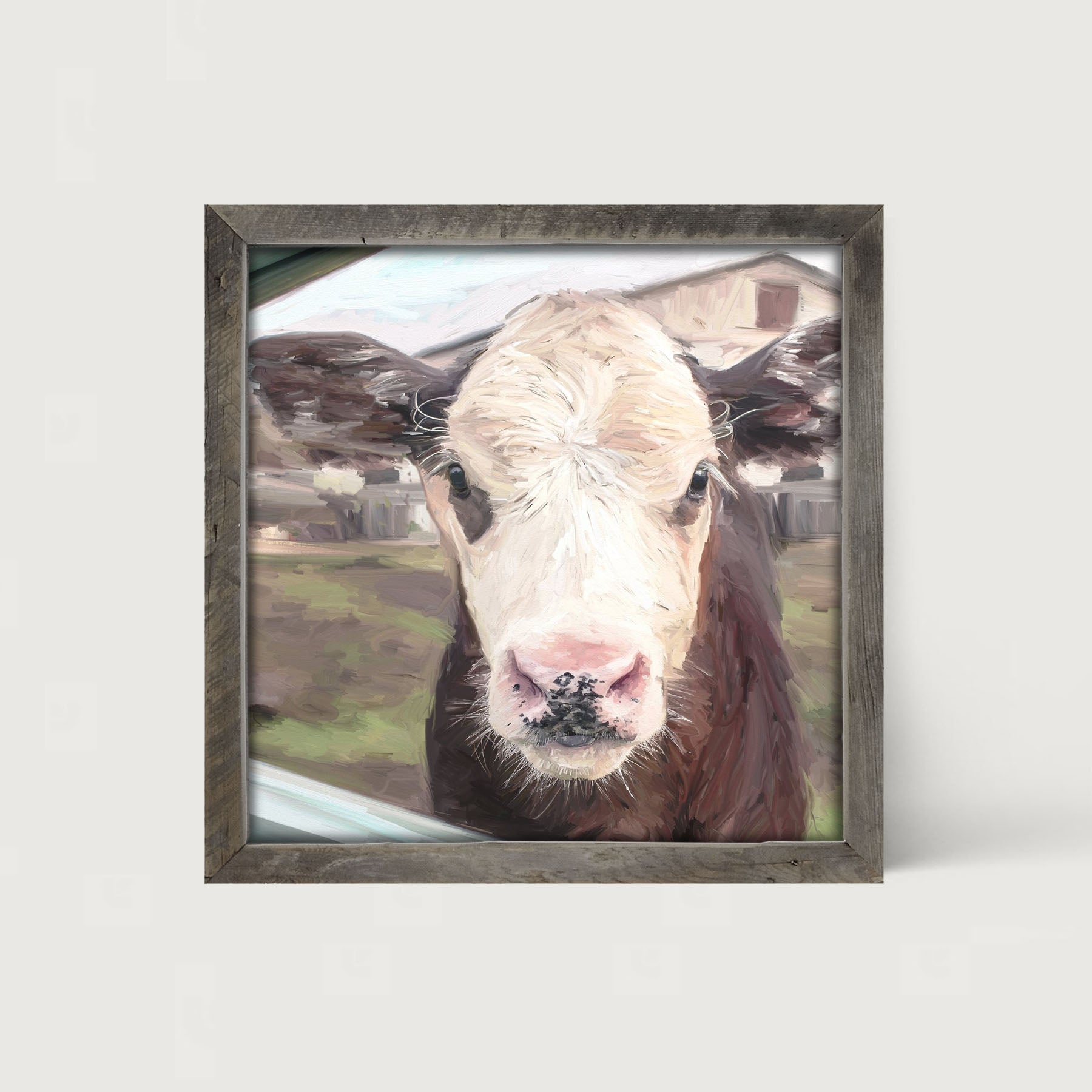 Calf - Framed art