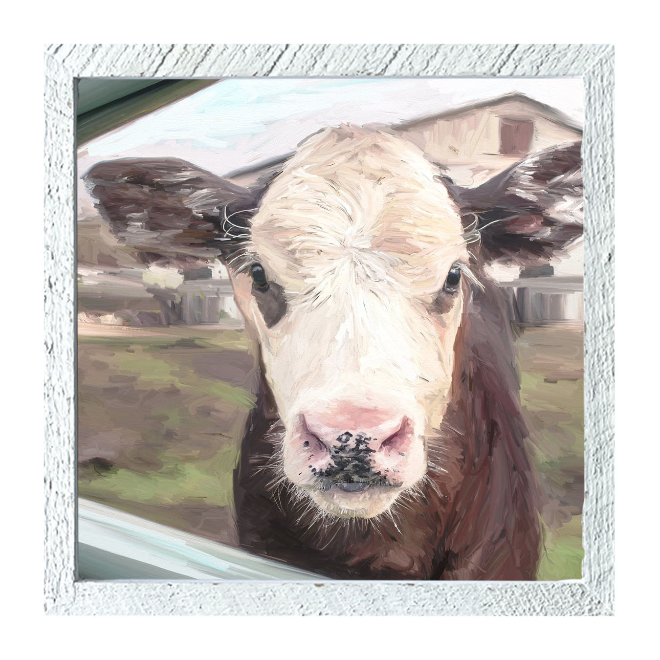 Calf - Framed art