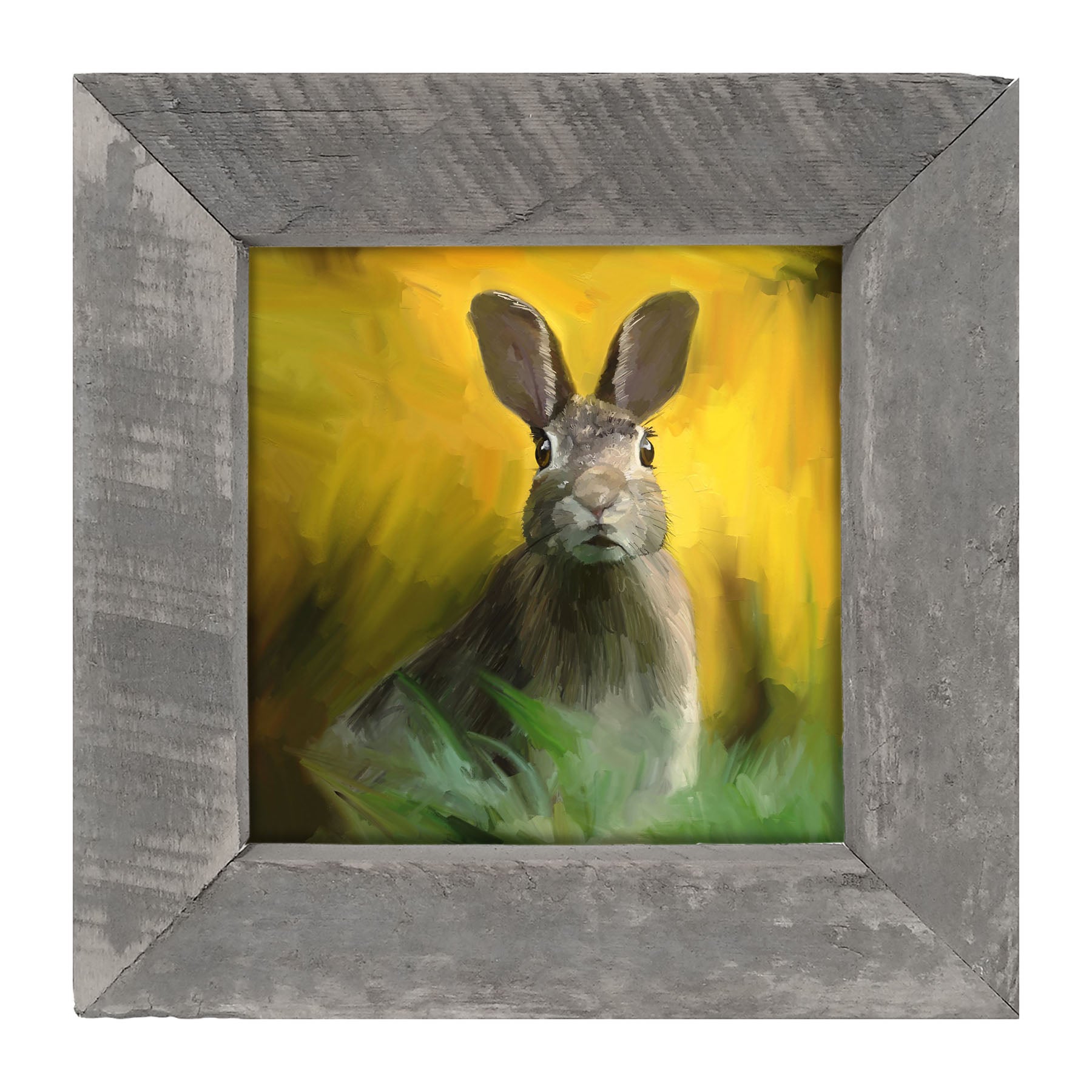 Bunny in The Meadow - Framed art