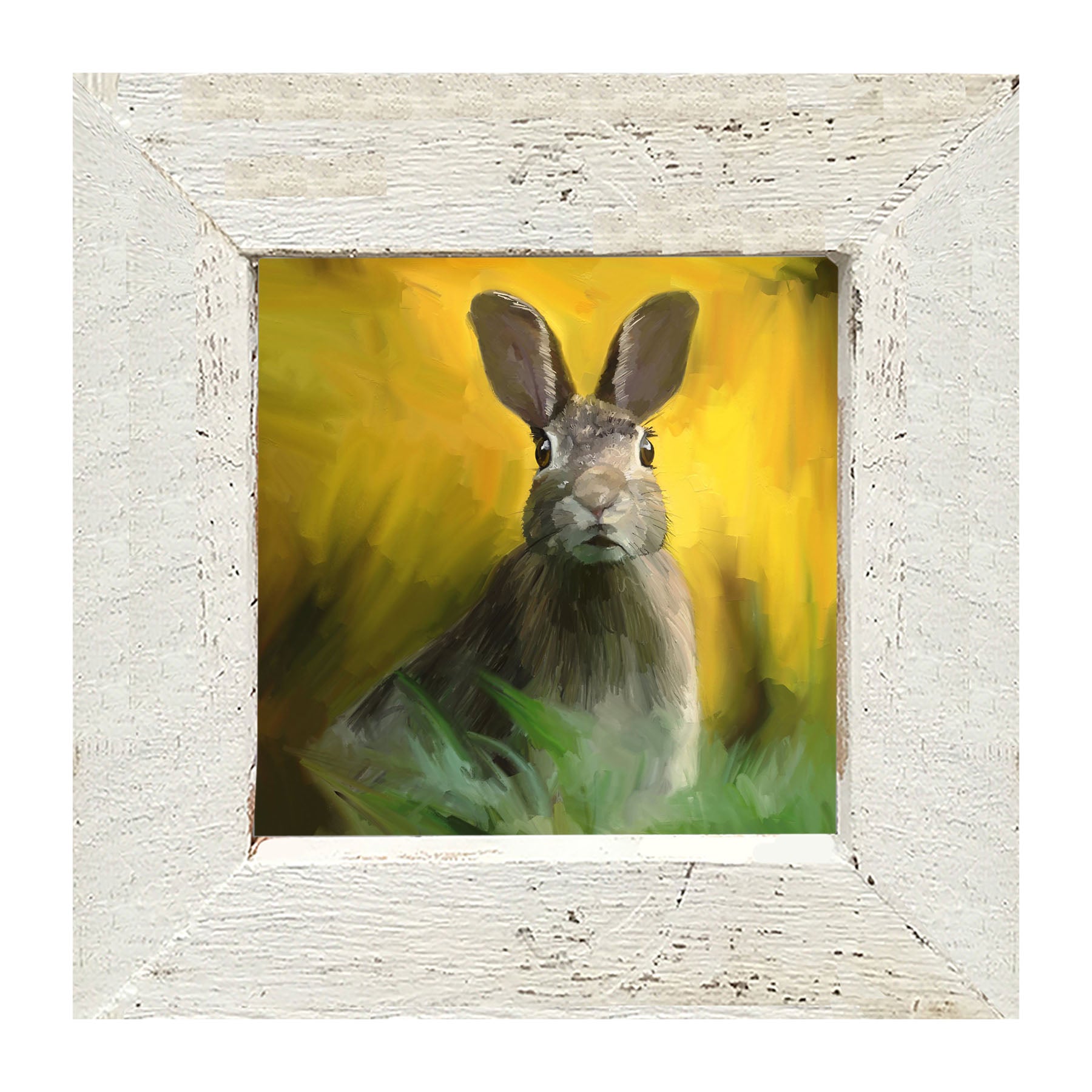 Bunny in The Meadow - Framed art